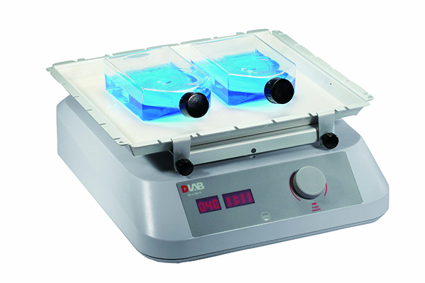 北京大龙   SK-L180-S LED数显线性摇床